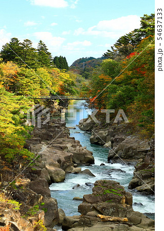 紅葉 岩手県 一関市 厳美渓 紅葉 岩手県 一関市 厳美渓 54637133
