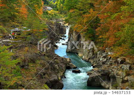 紅葉　岩手県　一関市　厳美渓 54637153