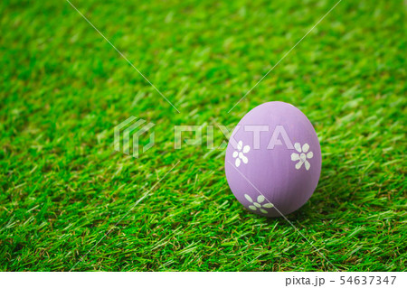 Easter eggs on the green grass. Easter eggs on the green grass. 54637347