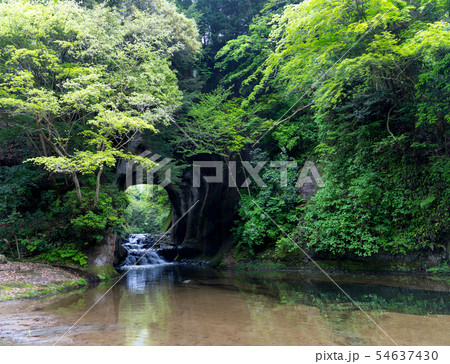亀岩の洞窟 亀岩の洞窟 54637430