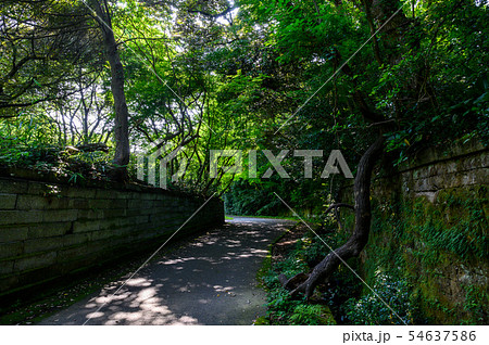 石川県加賀市 北前船の里 新町通り〜米木通り 小道 石川県加賀市 北前船の里 新町通り〜米木通り 小道 54637586