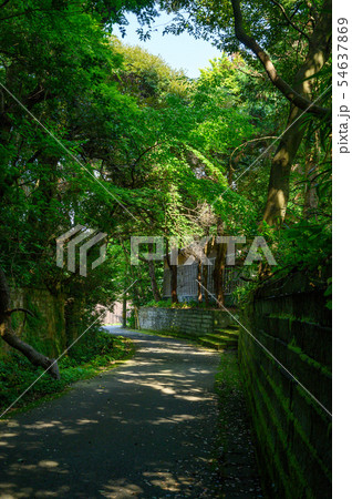 石川県加賀市 北前船の里 新町通り〜米木通り 古い町並み 石川県加賀市 北前船の里 新町通り〜米木通り 古い町並み 54637869