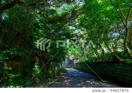 石川県加賀市 北前船の里 新町通り〜米木通り 古い町並み 石川県加賀市 北前船の里 新町通り〜米木通り 古い町並み 54637870