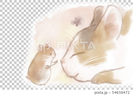 2020年賀状ハムスターと猫透過 54638472