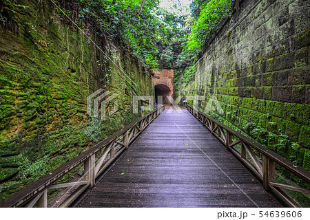 猿島　横須賀　無人島　要塞 54639606