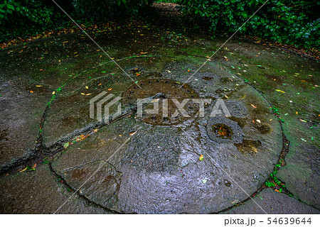 猿島　無人島　砲台　要塞　トンネル 54639644