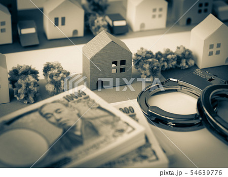 不動産 不動産詐欺 手錠 事件 金融犯罪 不動産 不動産詐欺 手錠 事件 金融犯罪 54639776