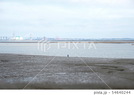 海 干潟 西海岸 54640244