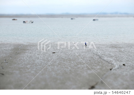 海 干潟 西海岸 54640247