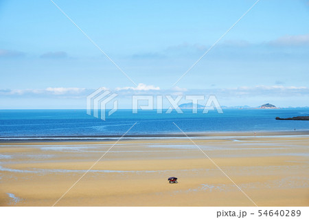 海 新斗里ビーチ 泰安郡 54640289