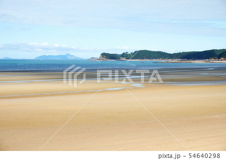 海 新斗里ビーチ 泰安郡 54640298