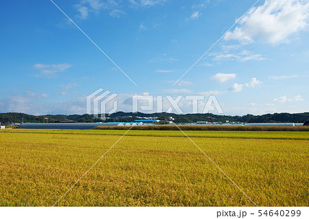 ノン 農村 京畿道 54640299