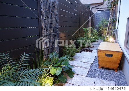 蛇籠(ガビオン)のある小さな庭 薄暮れ時にライトアップ 蛇籠(ガビオン)のある小さな庭 薄暮れ時にライトアップ 54640476