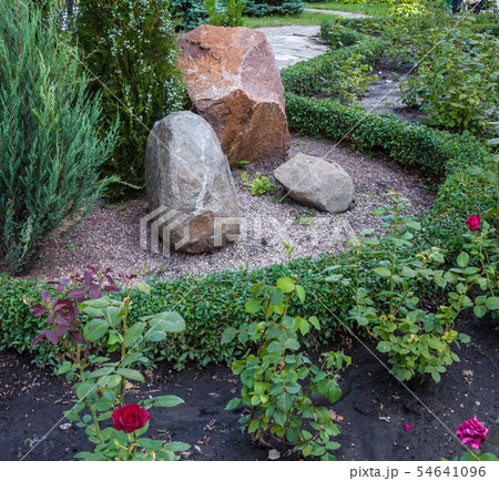 Rockery in the garden. 54641096