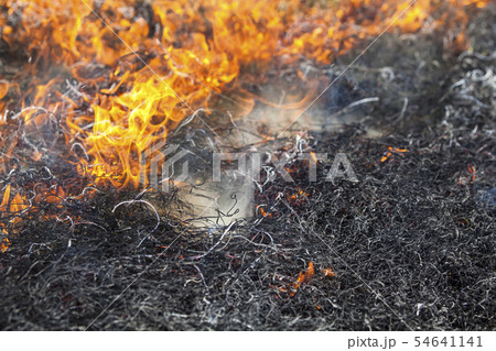 Big fire in the field Big fire in the field 54641141