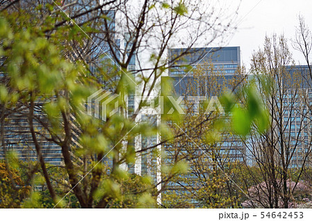 街景色　東京　丸の内 54642453