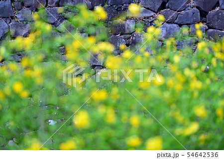街景色 東京 丸の内 街景色 東京 丸の内 54642536