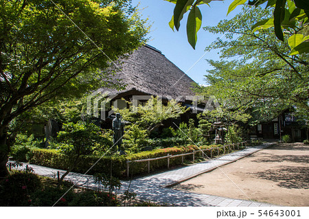倉敷市玉島の曹洞宗のお寺 円通寺 倉敷市玉島の曹洞宗のお寺 円通寺 54643001