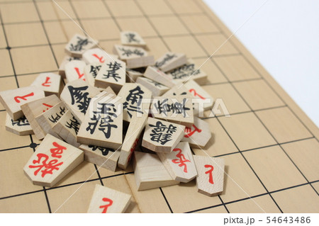 将棋 54643486