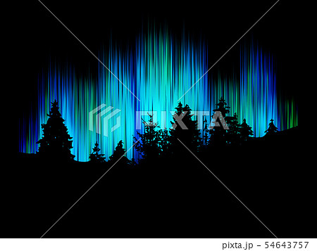 Northern lights vector. Forest silhouette against 54643757