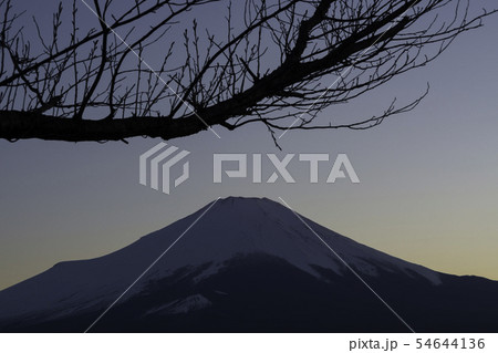 富士山　山中湖　パノラマ台　夕焼け 54644136