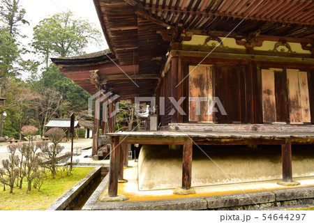 西明寺　本堂 54644297