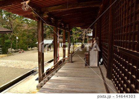 西明寺　本堂 54644303