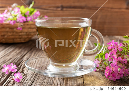 A cup of herb-Robert tea with Geranium robertianum 54644600