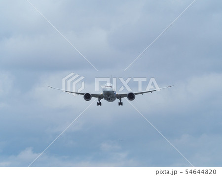 大阪国際空港に着陸するジェット旅客機 大阪国際空港に着陸するジェット旅客機 54644820