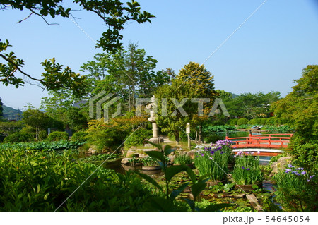 花菖蒲と石塔と朱橋 54645054