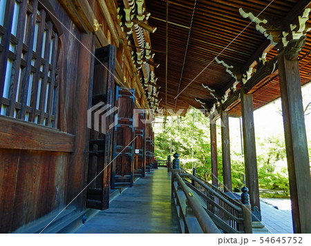 京都 永観堂 禅林寺 青もみじ 京都 永観堂 禅林寺 青もみじ 54645752