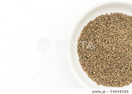セロリシード、セロリの種子: Celery seeds セロリシード、セロリの種子: Celery seeds 54648366