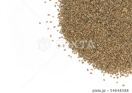 セロリシード、セロリの種子: Celery seeds セロリシード、セロリの種子: Celery seeds 54648388