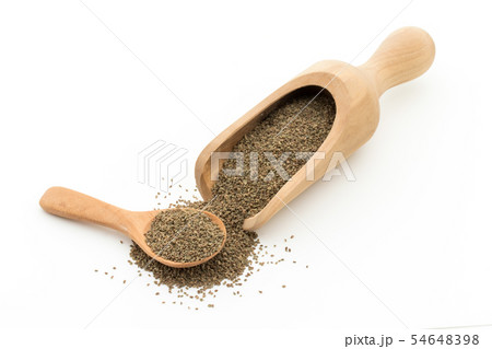 セロリシード、セロリの種子: Celery seeds セロリシード、セロリの種子: Celery seeds 54648398
