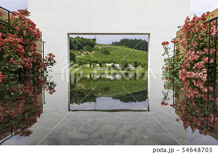 中之条ガーデンズ ローズガーデン 中之条ガーデンズ ローズガーデン 54648703