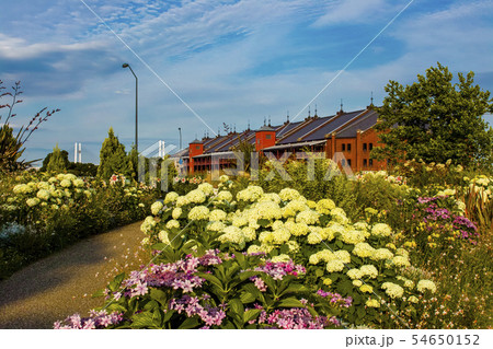 　横浜新港中央広場 54650152