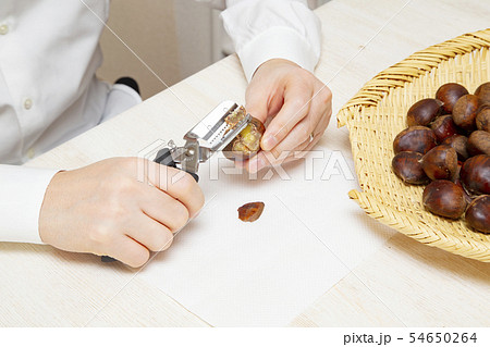 栗の皮むき 栗の皮むき 54650264