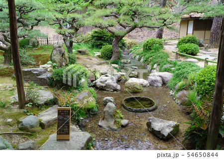 [香川県]　栗林公園　 54650844