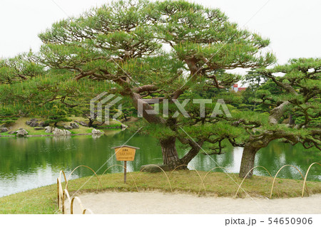 [香川県]　栗林公園　 54650906