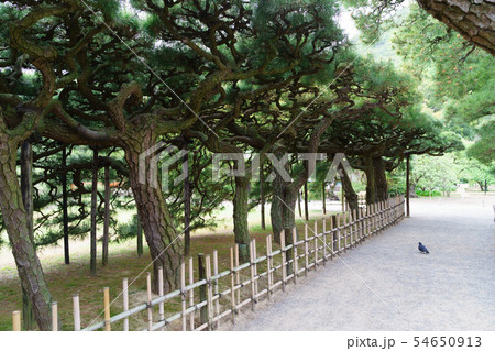 [香川県]　栗林公園　 54650913