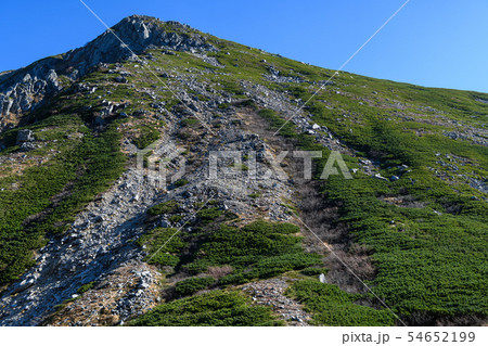 晩秋の伊那前岳 54652199