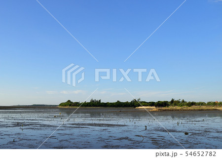 海沿い 海浜 沿岸 54652782