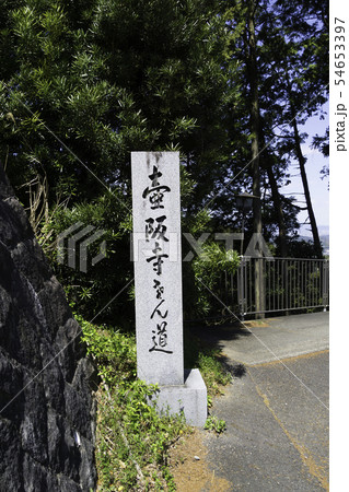 [奈良県]　壷阪寺　桜　春 54653397
