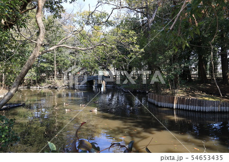 さいたま市緑区の氷川女体神社磐船祭祭祀遺跡 さいたま市緑区の氷川女体神社磐船祭祭祀遺跡 54653435