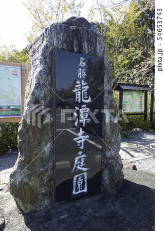 [静岡県]　龍潭寺　春期 54653743