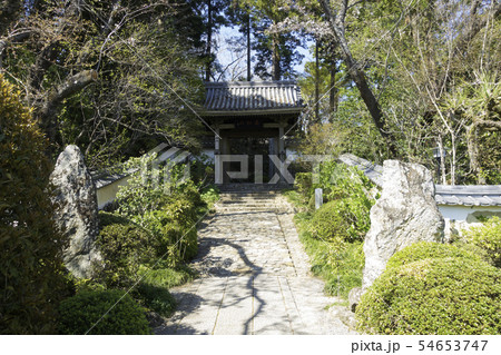 [静岡県]　龍潭寺　春期 54653747