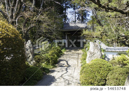 [静岡県]　龍潭寺　春期 54653748