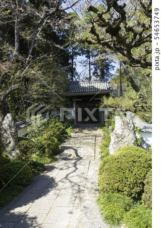 [静岡県]　龍潭寺　春期 54653749