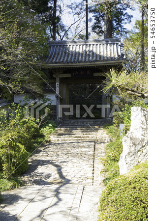 [静岡県]　龍潭寺　春期 54653750