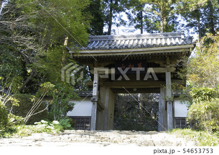 [静岡県]　龍潭寺　春期 54653753